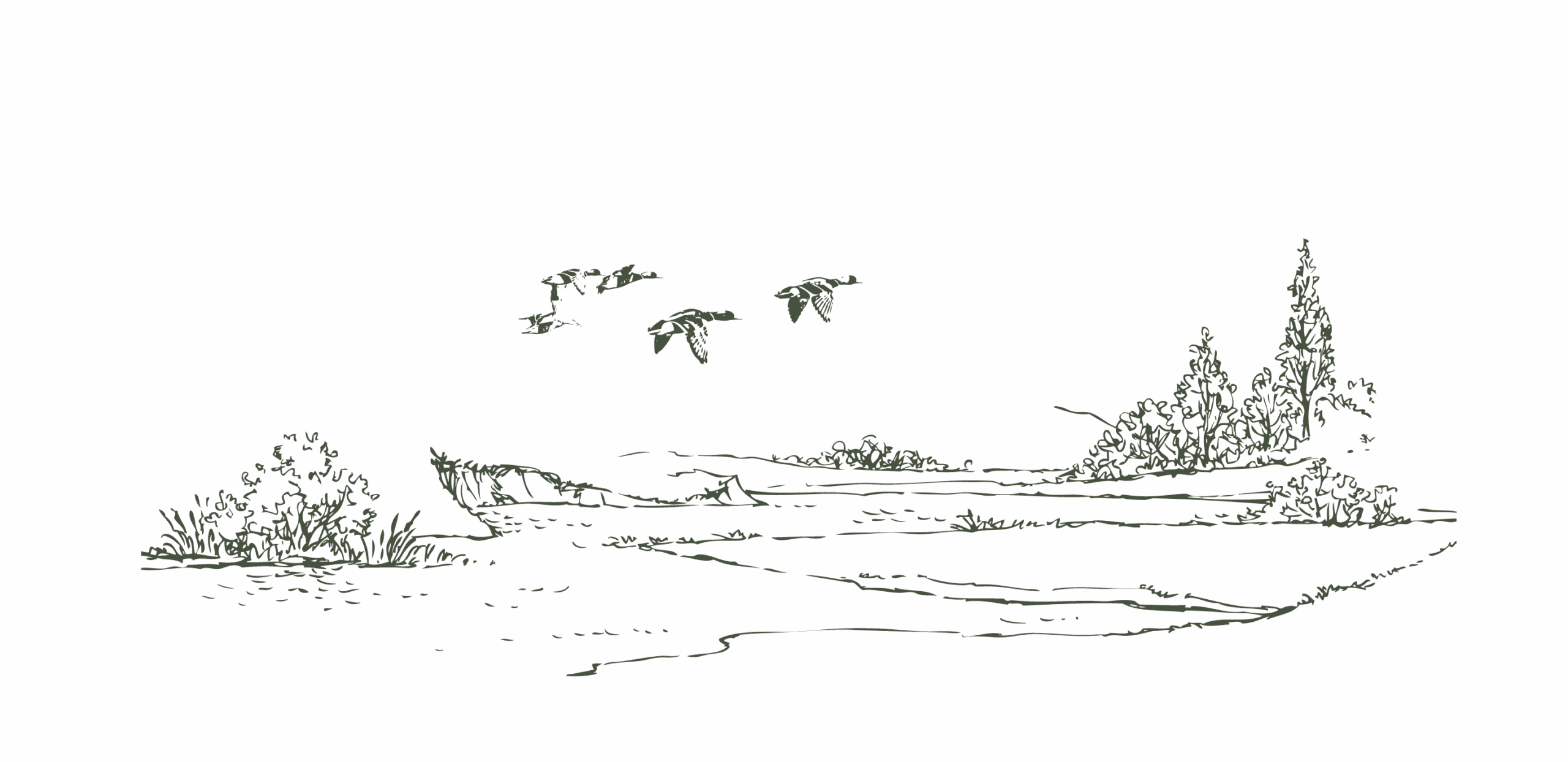 RiverDucks